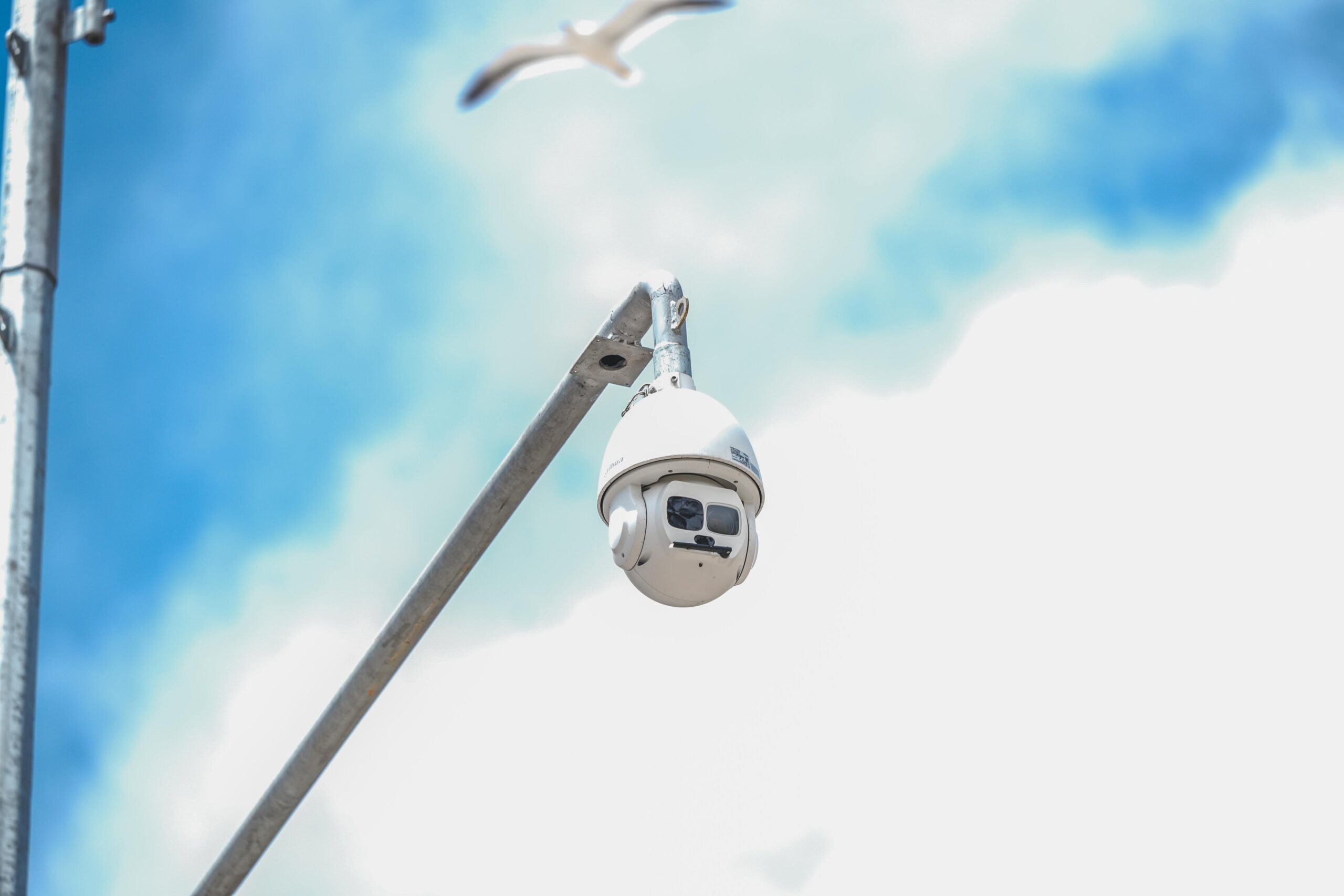 Cursos cortos| 16 horas